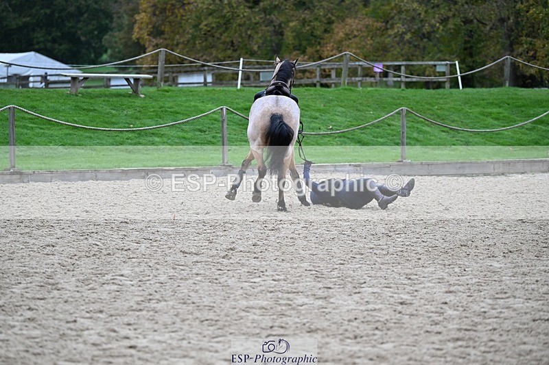 241116-105709-00725 - Cls 2 80-85cm Start to 11.30