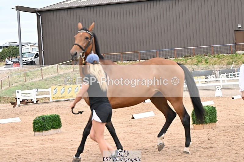 250716-161553-02537 - Trot Up 3.30 to 4.30