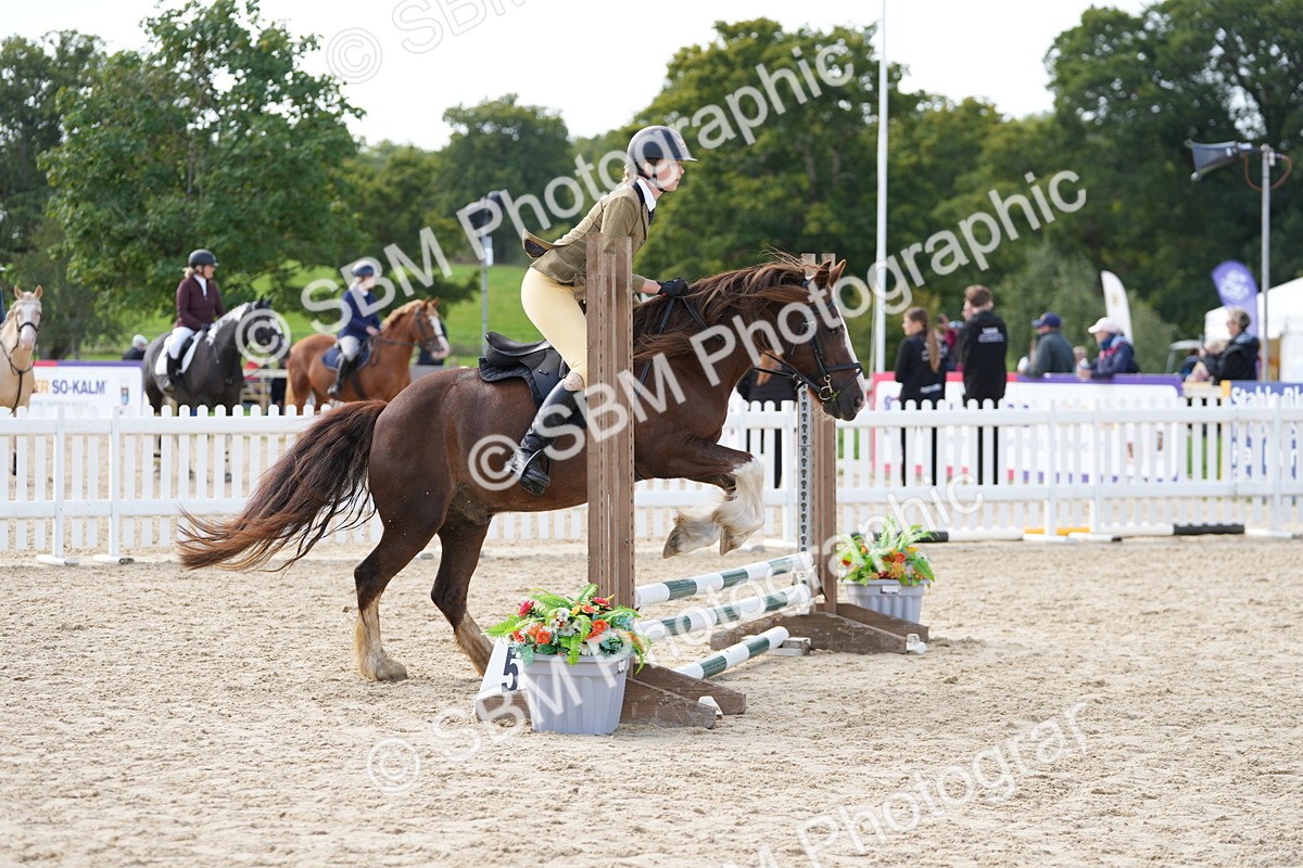 SBM_17864 - J58 - Clear Round 50cm