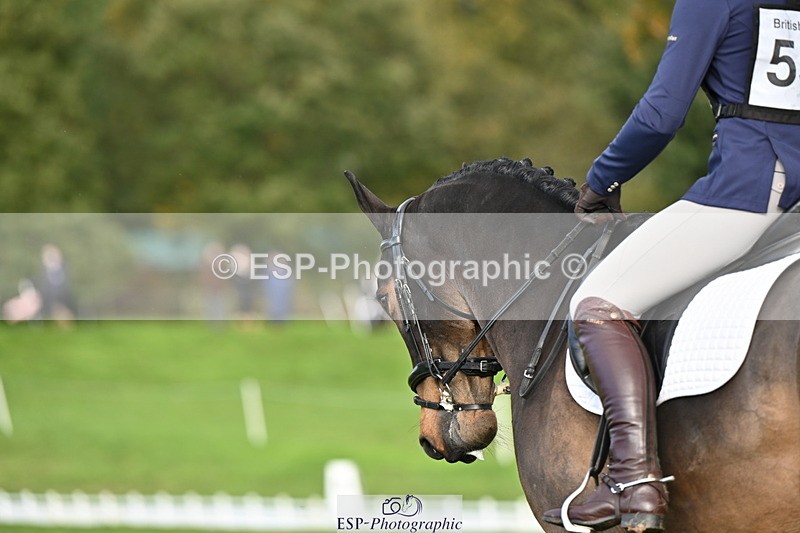 251024A-102028-08295 - G-555-Molly.Swain