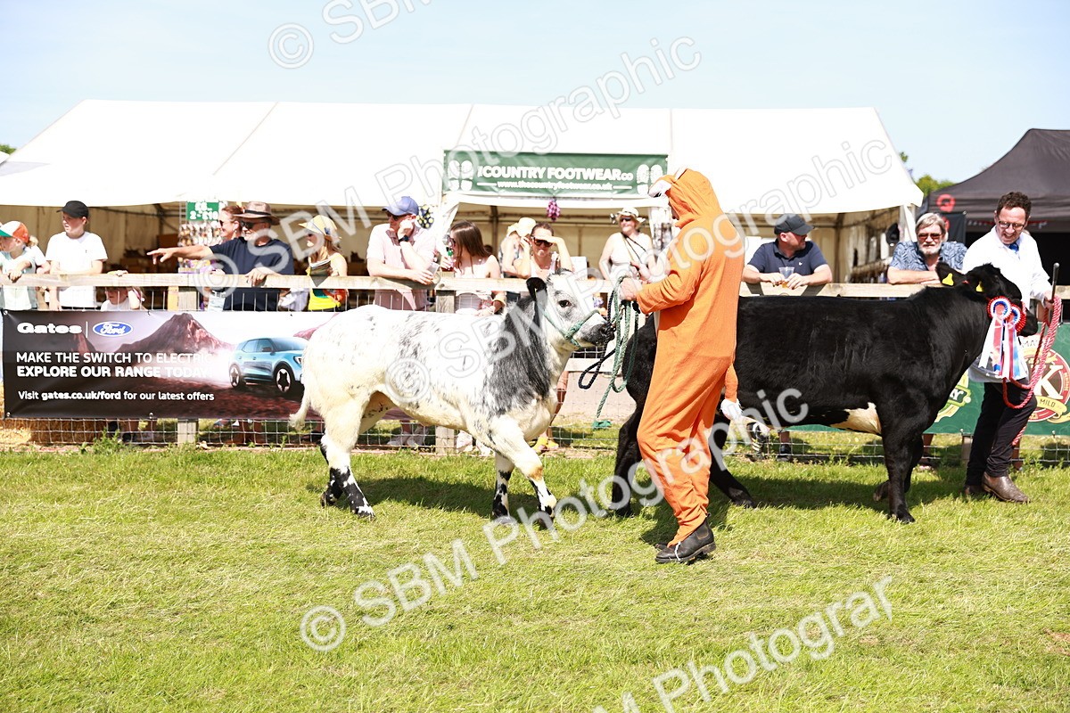 SBM_08341 - Grand Parade