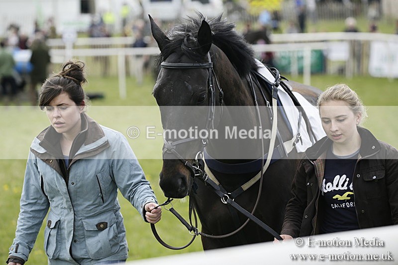 PtP 170417 221 - Old Berks Point-to-Point Lockinge 17/04/17