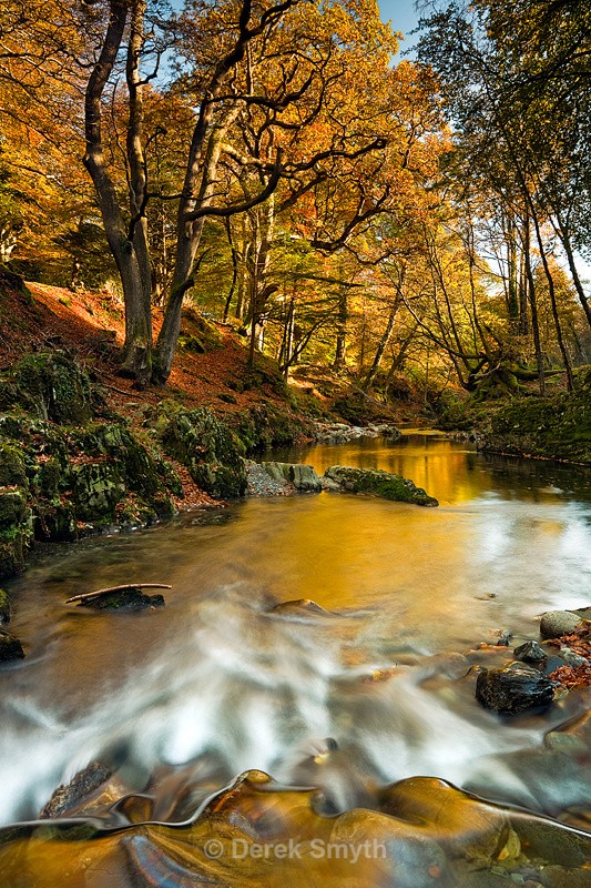 Golden Autumn Reflection