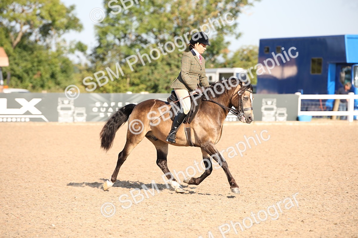 SBM_00712 - Class 14 Ridden M&M Wildcard