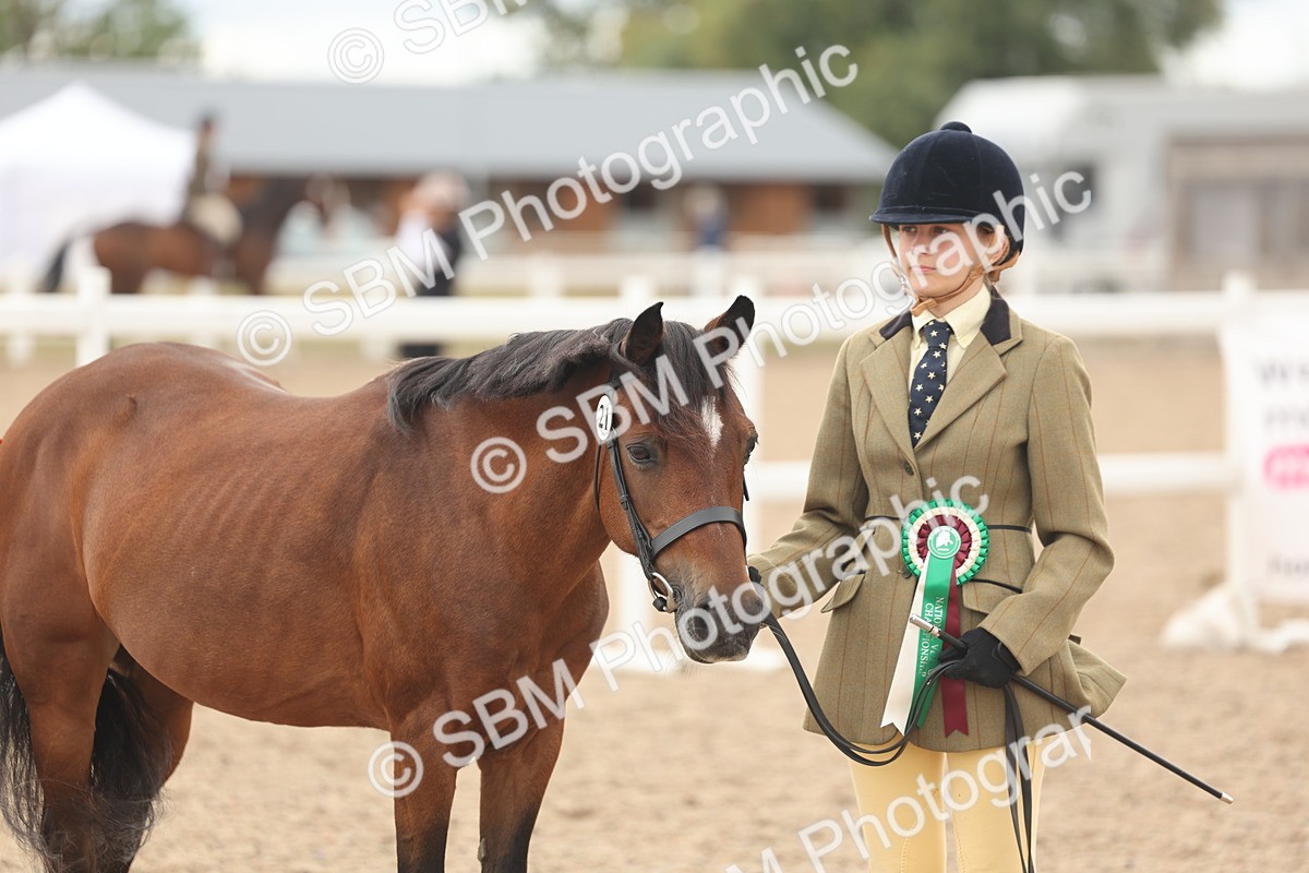SBM_17030 - Class 312 - IH Competition Horse-Pony