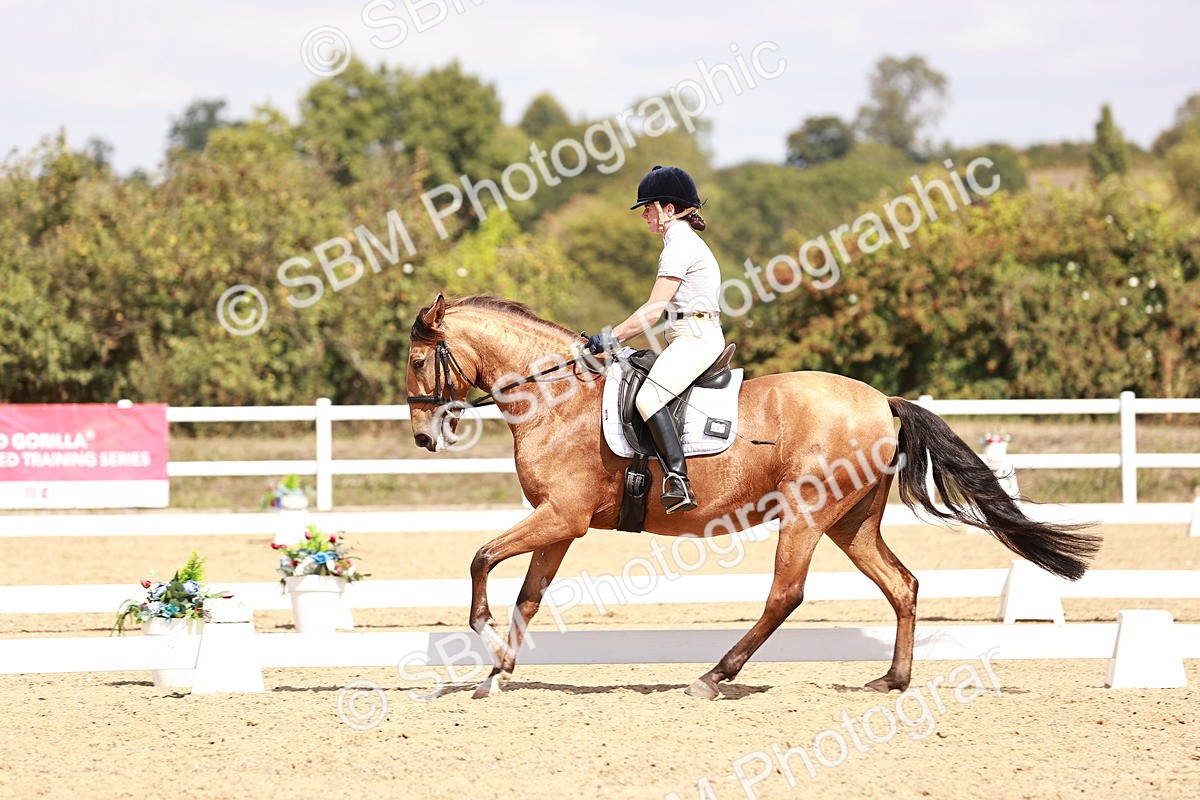 SBM_018568 - Class 17 - Novice 6