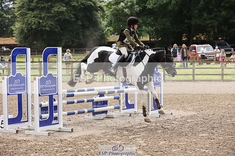 240804-133303-14305 - 555-Jack_Wish-WESTERLAKE_BUTTONWEED