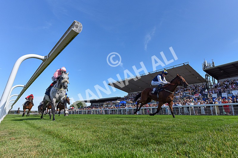 120826-Race 5-Ciao Capo-4975 - Race 5 16.15pm Cayenne Electric At Porsche Centre Hull Handicap