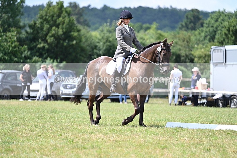 WJ7_4859 - Time 11:22 to 11:51