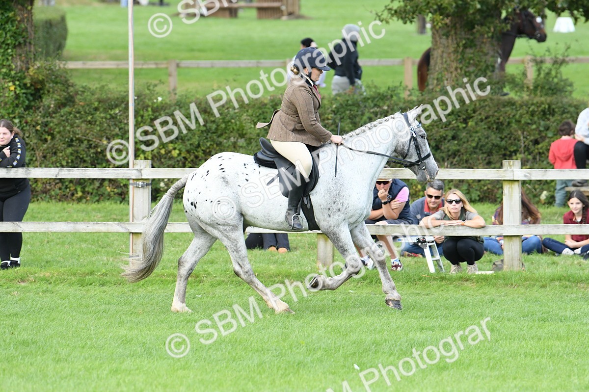 SBM_47187 - S12 - Family Horse & Pony