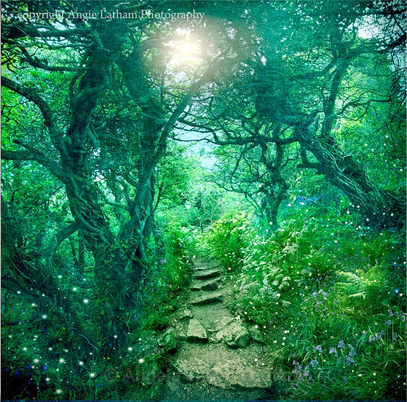 NEW! AS001 The Secret Path - Magic & Mystery