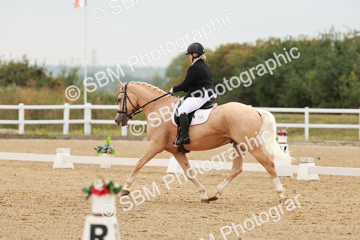 SBM_009111 - Class 12 - Elementary 6 - 9.30-10.34