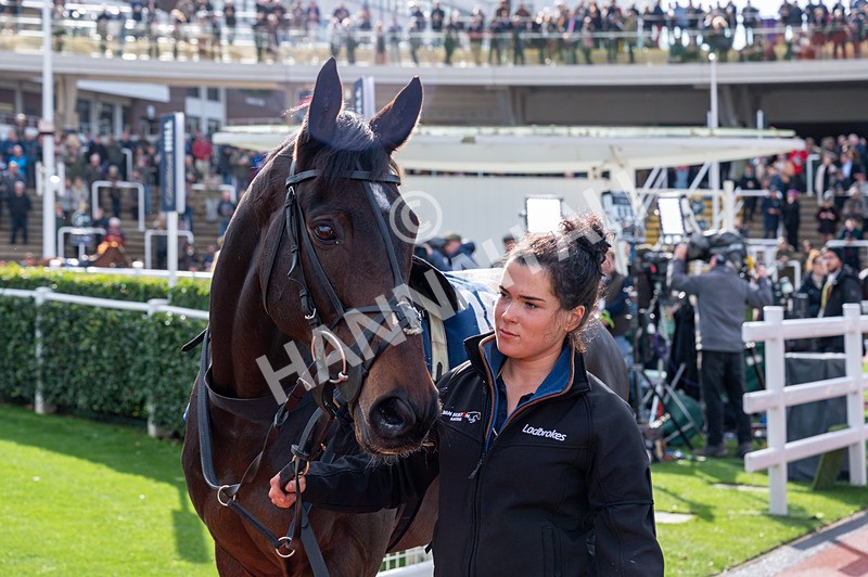 241025-Race 1-Supreme Yeats-7844 - Race 1