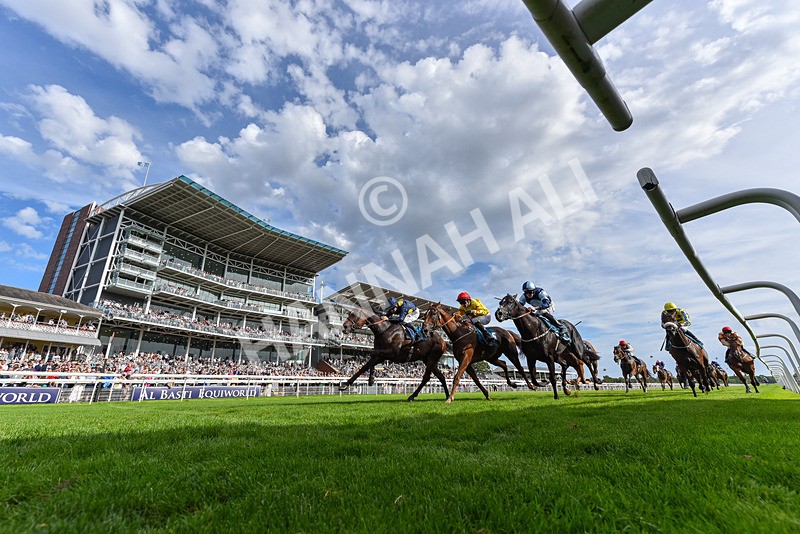 060926-Race 6-Power Fizz-2 - Race 6 4.25pm Eboracum Security Handicap