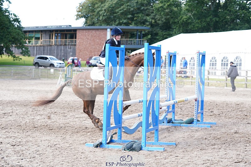 240824X-141650-28128 - 80cm Round 1 14.00 to 15.30