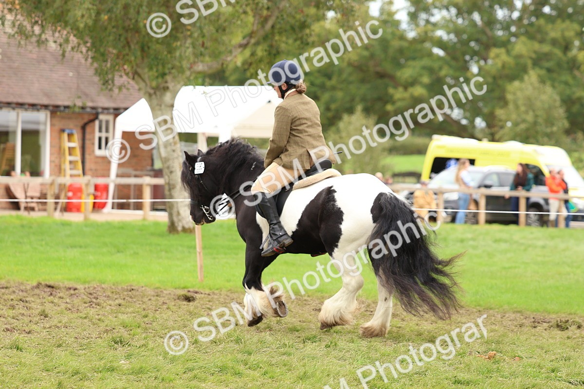 SBM_64613 - S58 - Coloured Pony Ridden