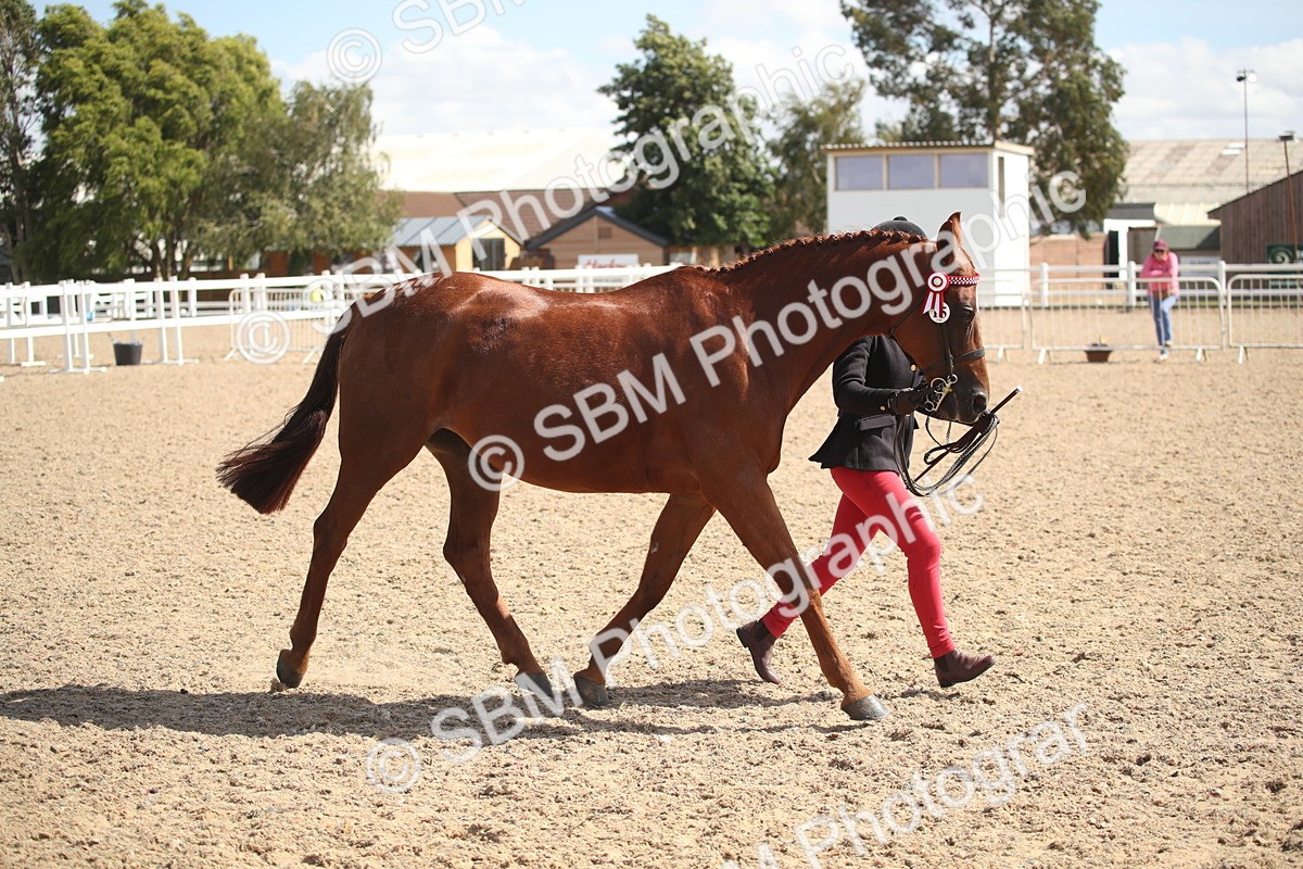 SBM_23145 - Class 606 - 2026 - Area - IH Pre Vet