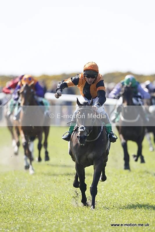  GRD 030510 168 - Guernsey Race Day 03/05/10