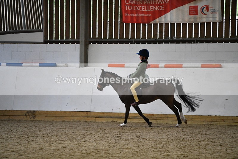 WJ5_6848 - Class 10 Childs Pony