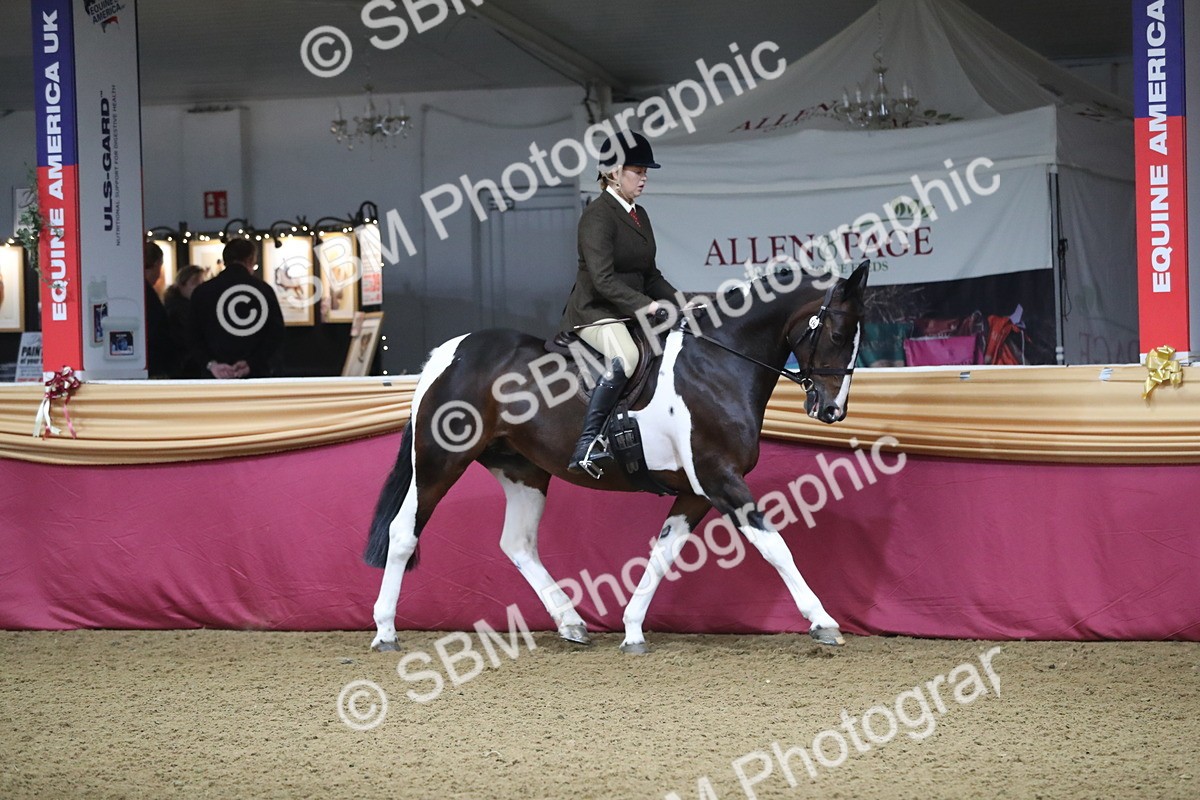 SBM_10339 - Class 102 Equitation (best rider) Adult