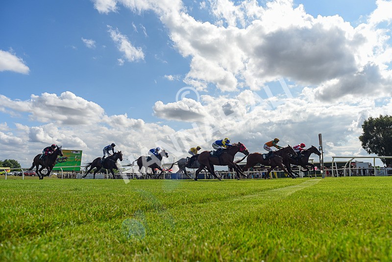 160725-Race 4-Lady Bouquet-6160 - Race 4