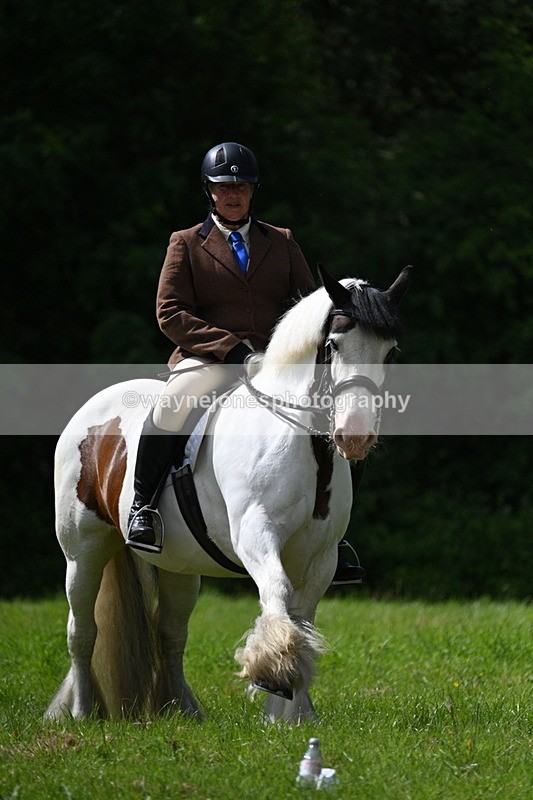 WJ7_1341 - Class 11 Condition & Turnout