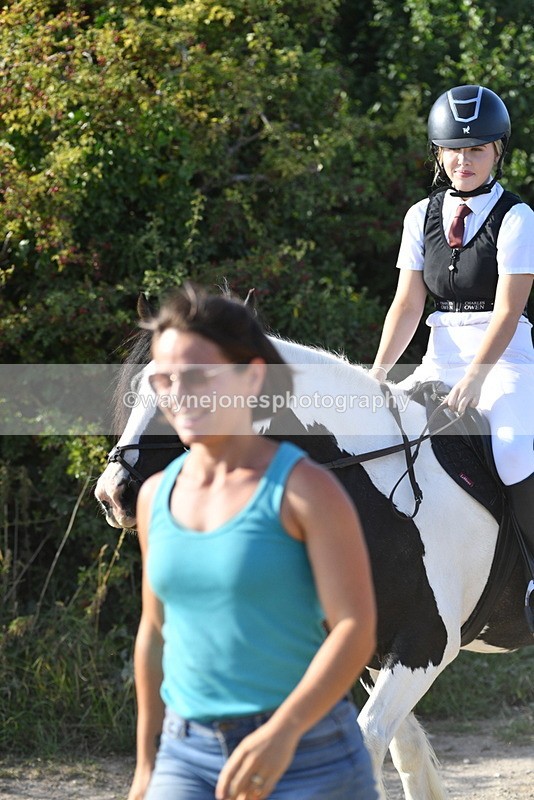 WJ5_5073 - Walk out with the hounds
