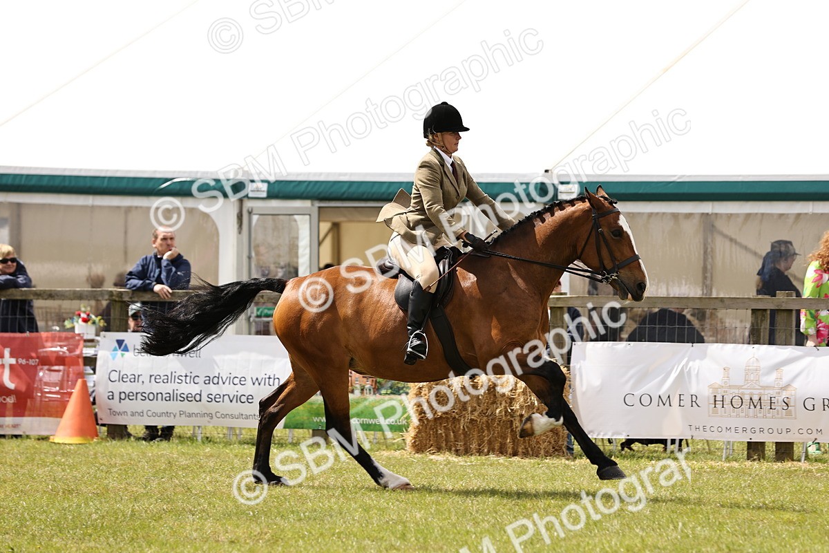 SBM_14575 - Class 88-89 - LIHS BSHA Rising Star of Ridden Hunter Type