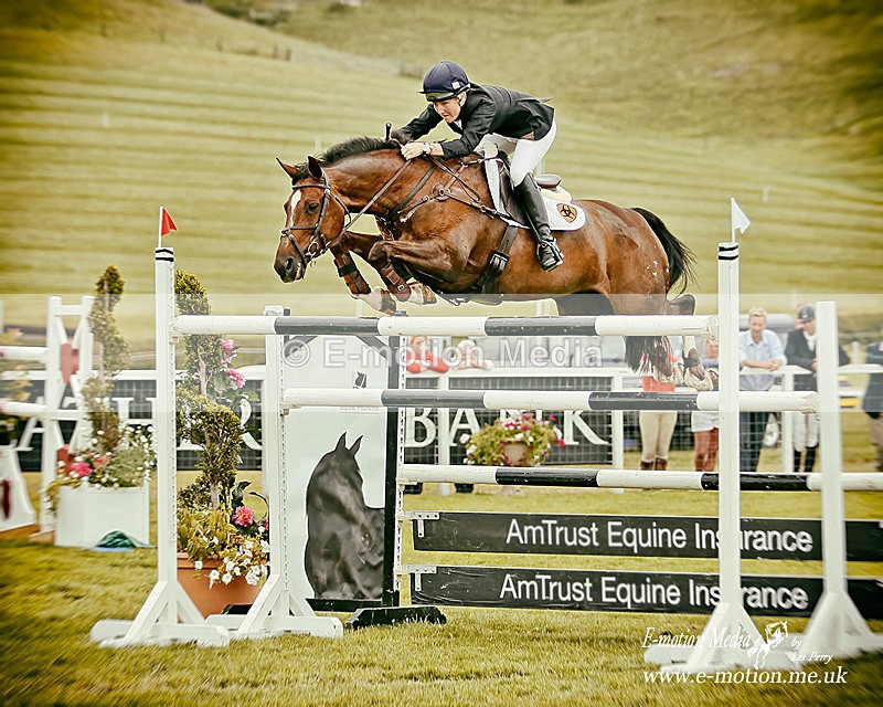 _LES1248abtoy - Equestrian