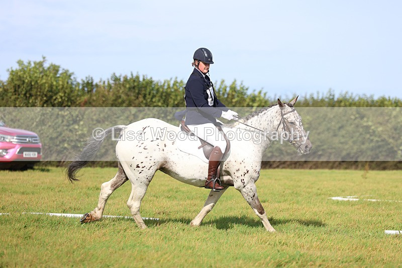 3E7A6027 - Class 1: Trebudannon Open: Dressage (Part 2)