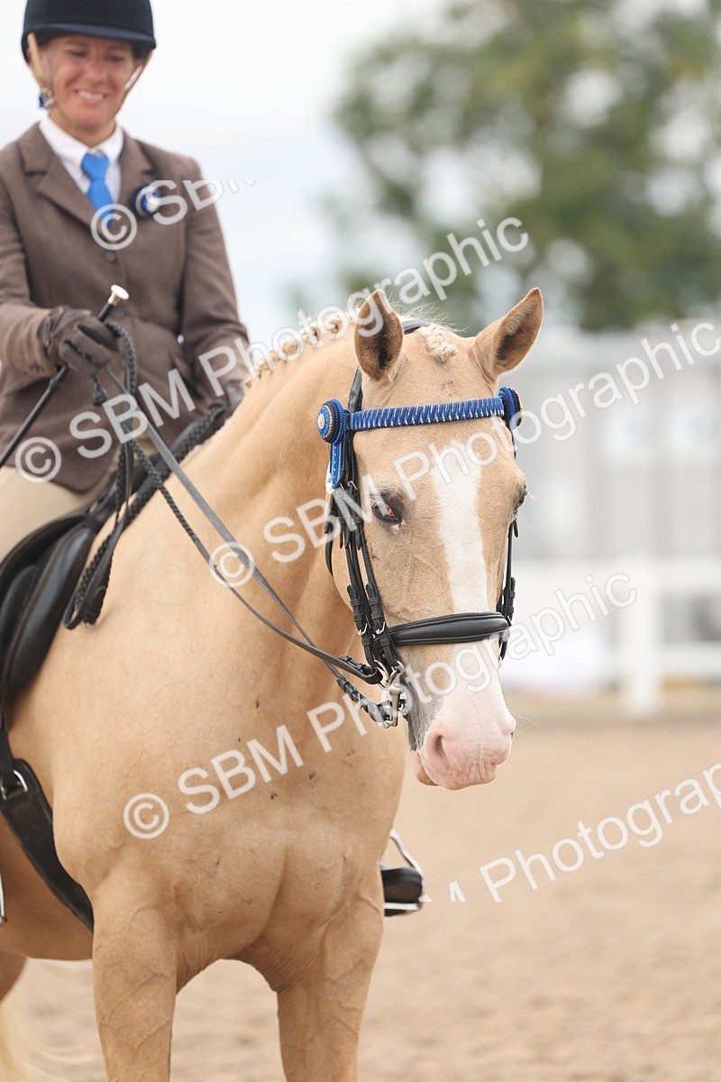 SBM_18166 - Class 315 - Best Horse-Rider Combination