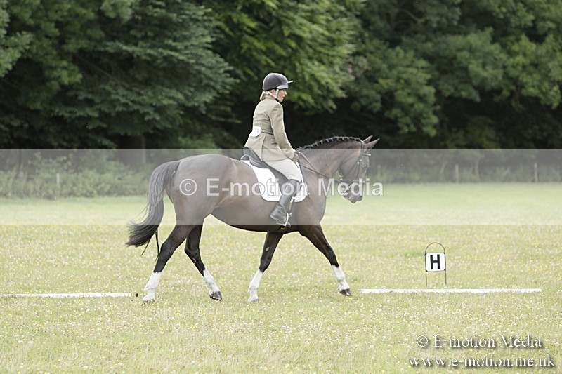 BVR160717-2072 - Class 4 & 5 Dressage 16/07/17