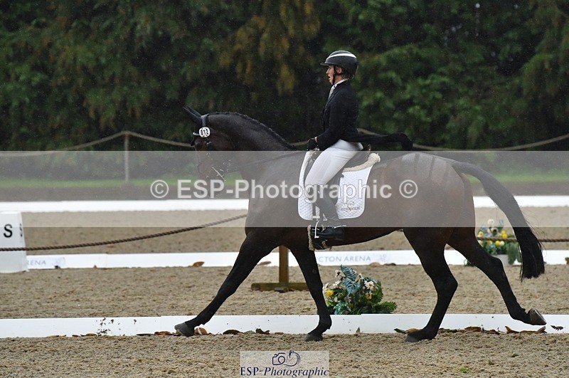 231018-154458-00869 - 012-ROMANY.CRICKET-Nana.Dalton-DR