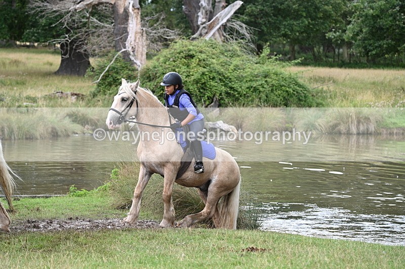 WJ7_5137 - Time at Water 14:00 to 14:53