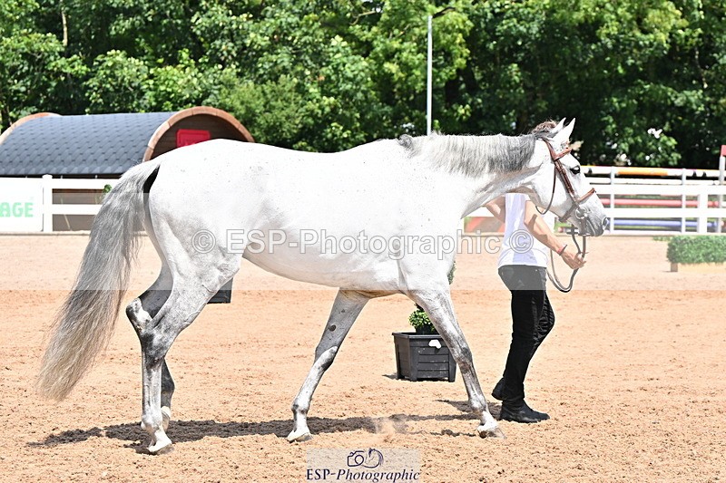 240718A-105310-01657 - Trot Up 1pm to 2pm