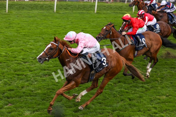 250823-Race 4-Live In The Dream-5882 - Race 4 3.35pm Coolmore Wootton Bassett Nunthorpe Stakes