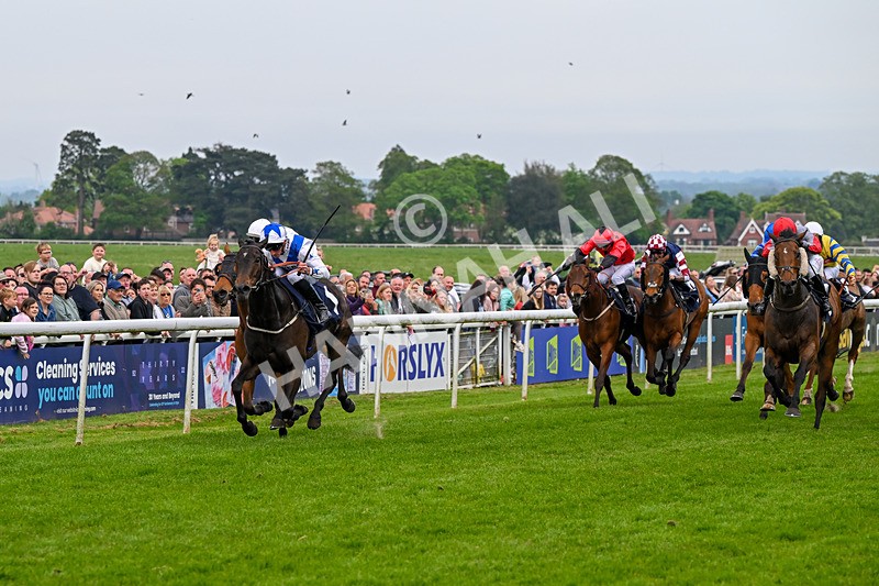 060524-Race 6-Shes Got Bottle-7269