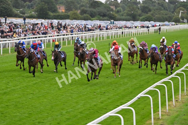 210824-Race 5-Extensio-5382 - Race 5 4.10pm Sky Bet Stayers Handicap
