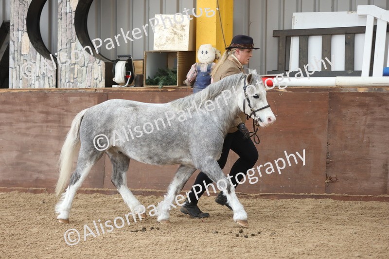 20251109-0691 - Class 22 - Geldings 4 Years and over