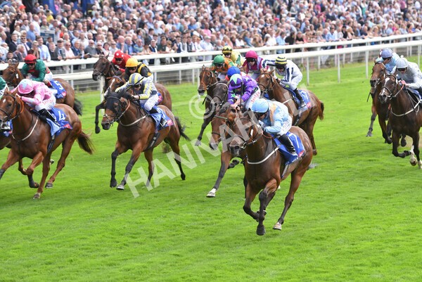 yr18082021r1-70 - Race 1 1.50pm Sky Bet & Symphony Group Stakes