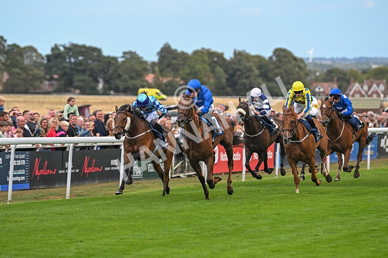 300825-Race 1-Spioradalta-0068 - Race 1