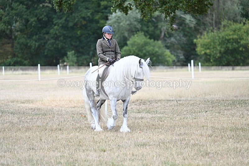 WJ7_4735 - Class 12 Ridden Cob