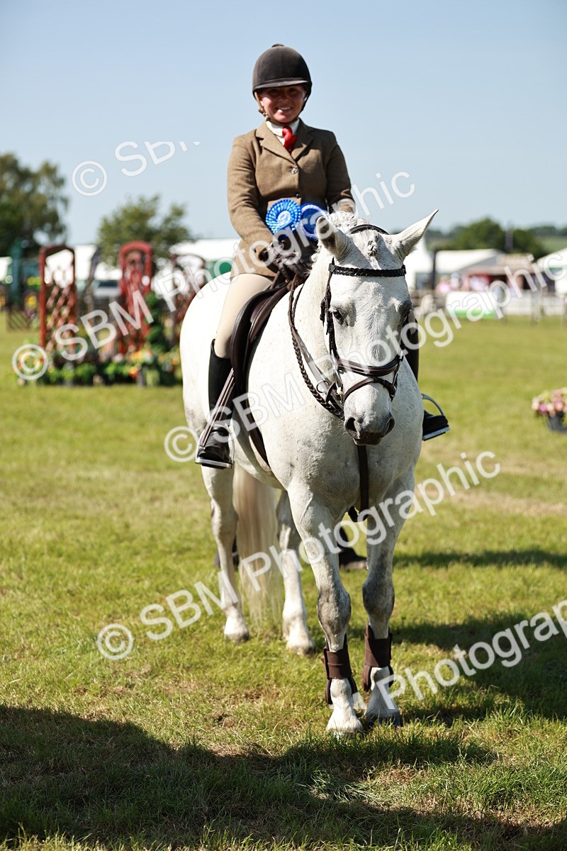 SBM_18552 - Class 112-113 - BSPS LIHS Working Sports Pony
