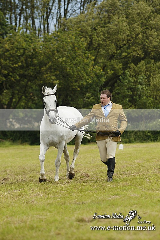 GRH 080712 297 - Barbury