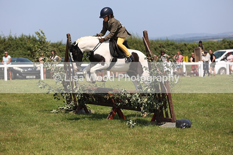 JPP_3090 - Class 22: Working Hunter 70cm