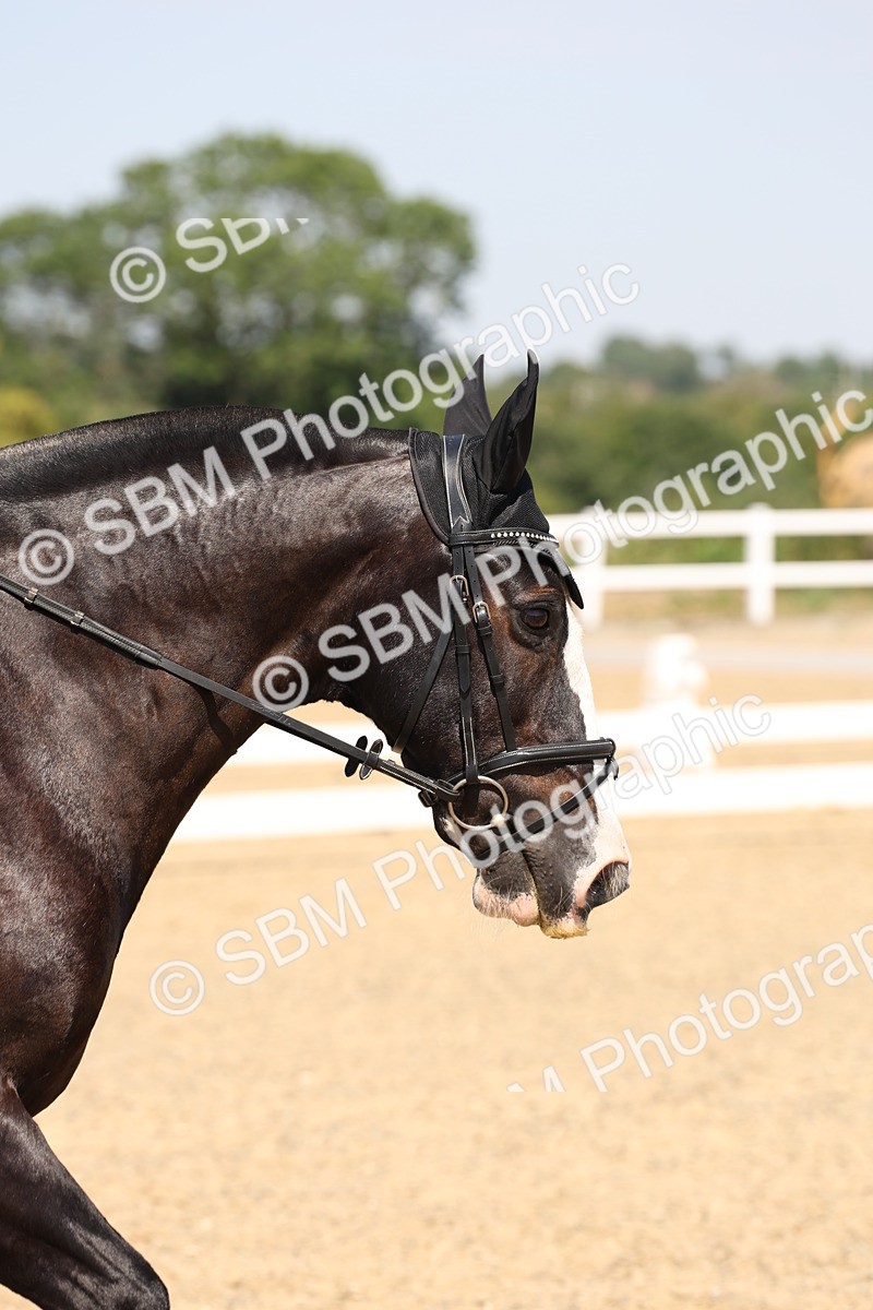 SBM_005639 - Prelim 4 - 13.34-15.39