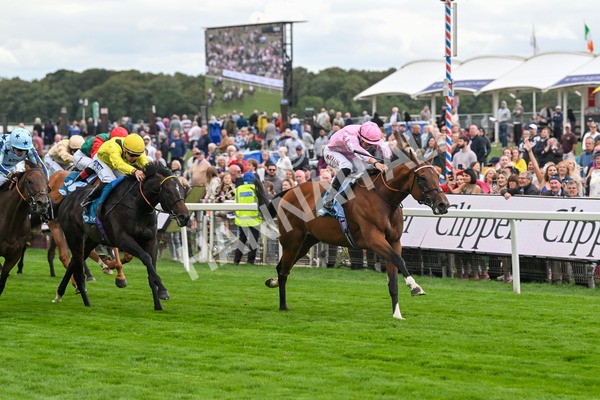 210825-Race 3-Bullet Point-4232 - Race 3 3.00pm Clipper Handicap
