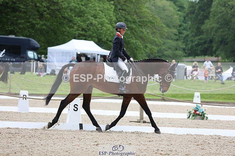 240524-120701-08524 - 274-JACK_OF_CLUBS-Rosalind_Canter