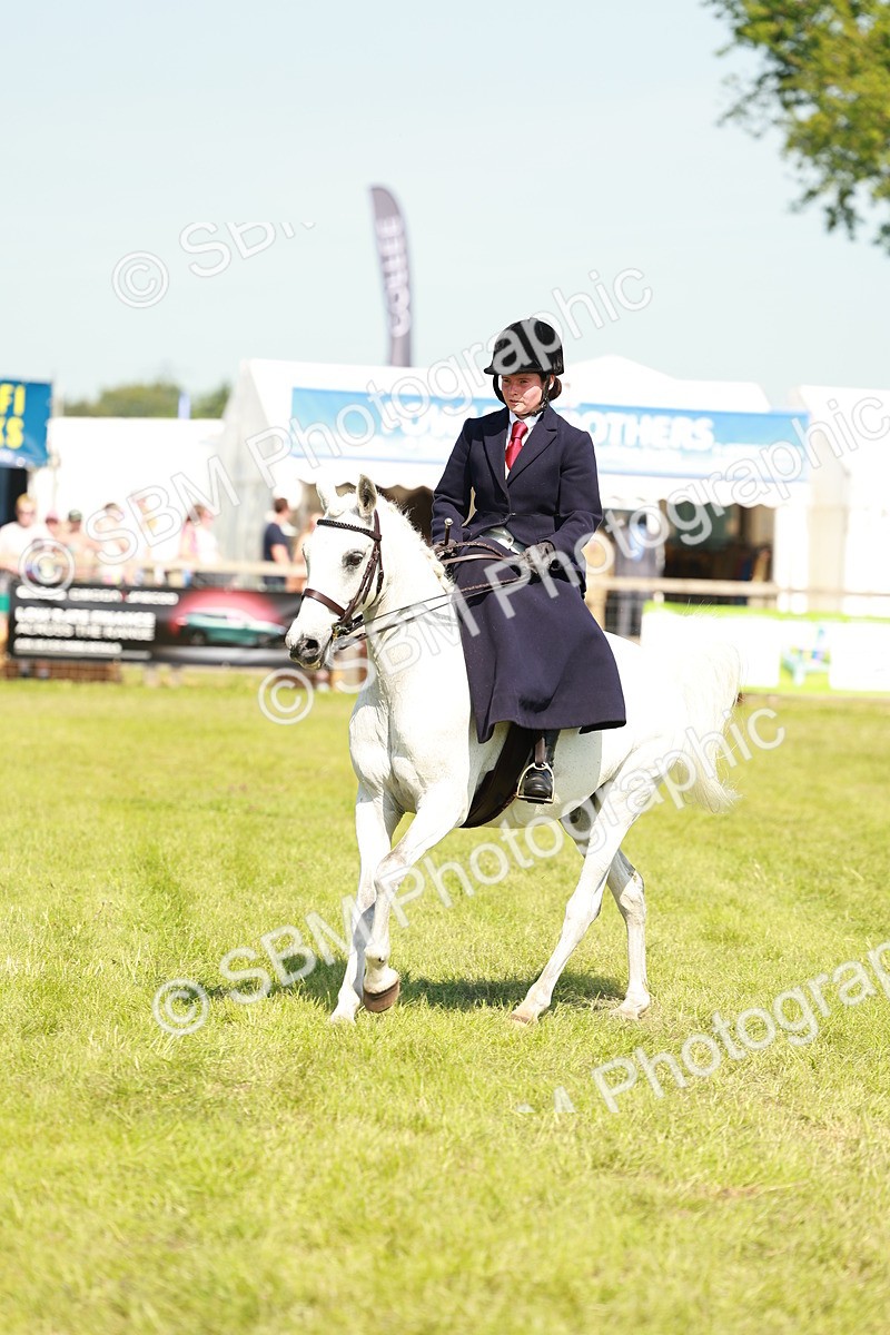 SBM_13333 - Class 70-71 - Side Saddle