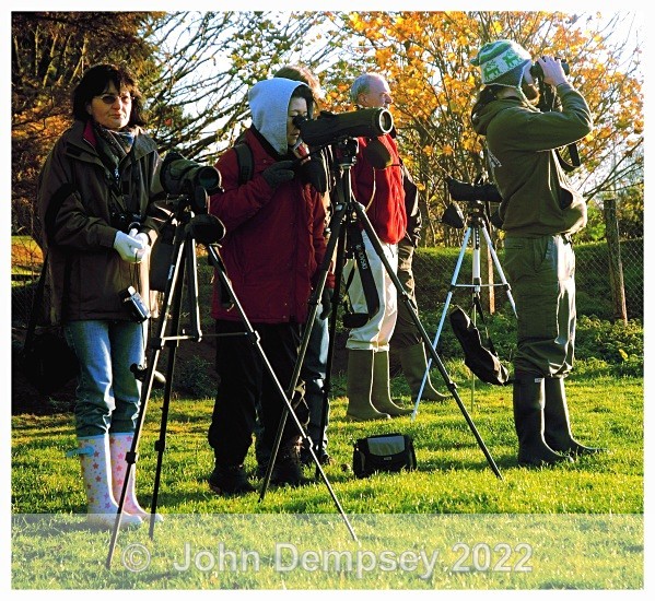 RSPB 2B - Montrose Basin